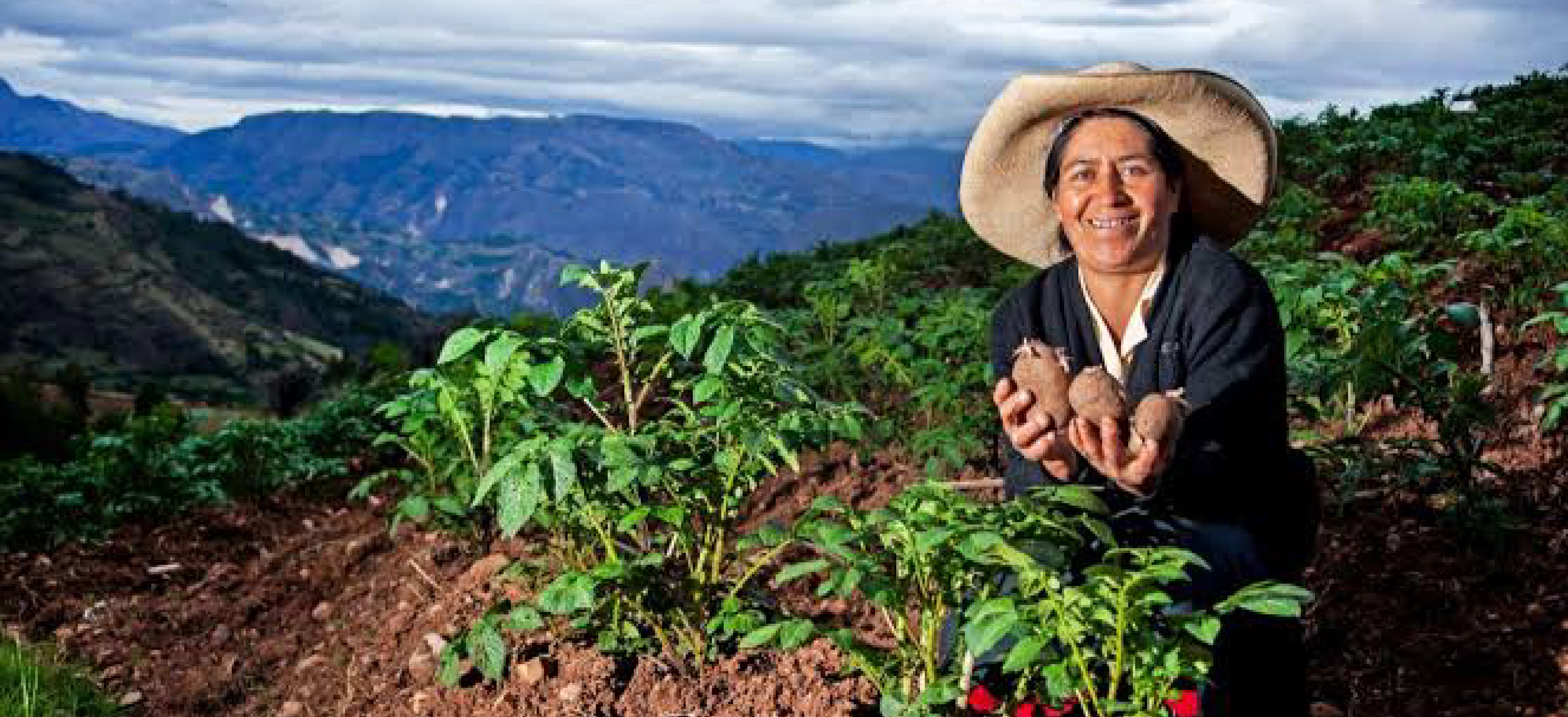 NOTICIAS, ENTREVISTAS Y TODO LO RELACIONADO A PERUMIN EN LOS MEDIOS